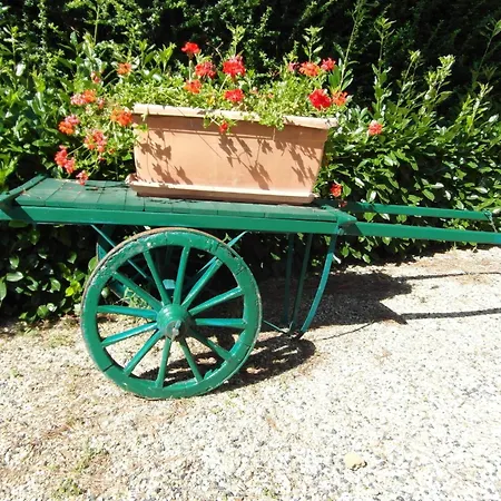 Rustic Comfort With Modern Touch, Cleaning Included Tatil Evi Arezzo